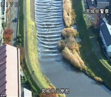 Assumed highest tsunami water level. Japan earthquake video shows powerful tremor near ...
