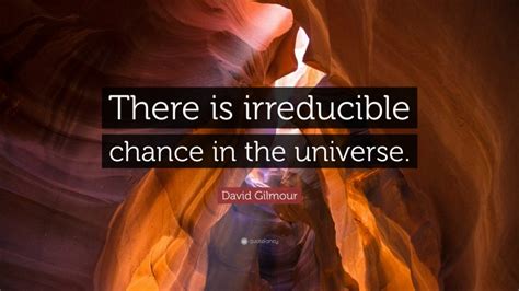David Gilmour Quote There Is Irreducible Chance In The Universe