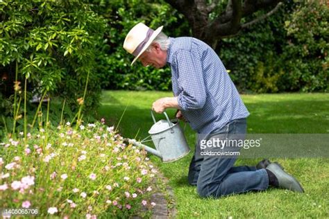 Old Man Watering Flower Photos And Premium High Res Pictures Getty Images