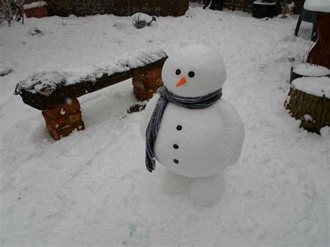 Don't cry, snowman, not in front of verse 2 don't cry, snowman, don't you fear the sun who'll carry me without legs to run, honey without legs to run, honey don't cry, snowman. 35 Creative, Funny Snowman Pictures for Winter Fun ...
