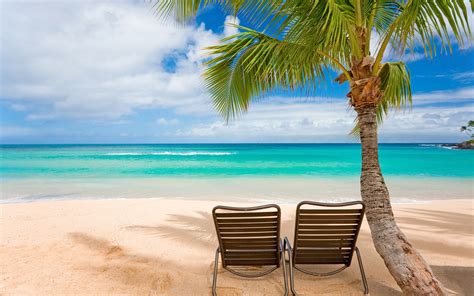 High resolution nature wallpaper for mobile phone with picture of coconut trees on beach. Beach Scene Wallpaper | | Full Desktop Backgrounds