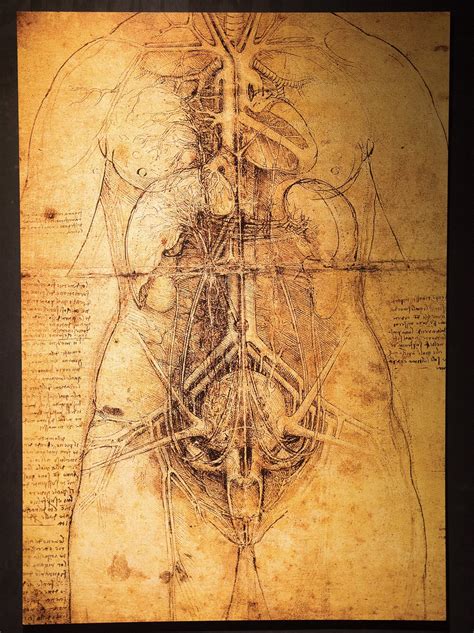 Leonardo Da Vinci Sketches