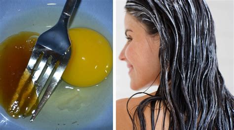 Honey Egg Coconut Oil Hair Mask Overnight Are An Ultimate Hair Care