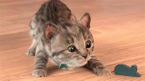 Ads sometimes is bothering but it is a necessary to maintain our fully services. Little Kitten My Favorite Cat Play Pet Care Fun Game for ...