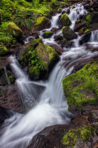 Mountain Stream And Waterfall Stock Photo Download Image Now Istock