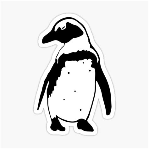 African Penguin Looking Sideways Sticker For Sale By Stephaniepeters