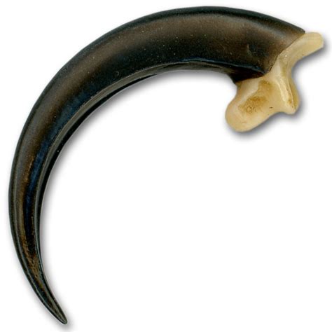 Replica Eagle Claw Large 3 12 Crazy Crow Trading Post