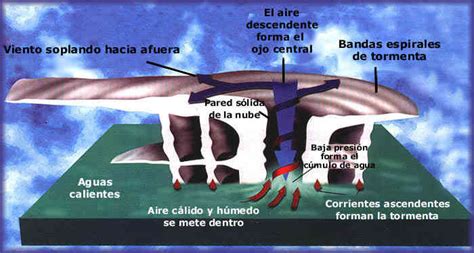 Un Paseo Por El Tiempo ¿qué Es Un Huracán Y Qué Elementos Se Necesitan Para Que Se Forme