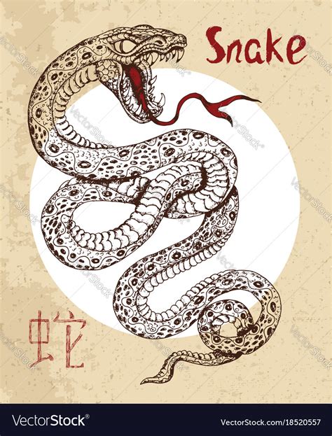 Chinese Zodiac Symbol Of Etching Snake Royalty Free Vector