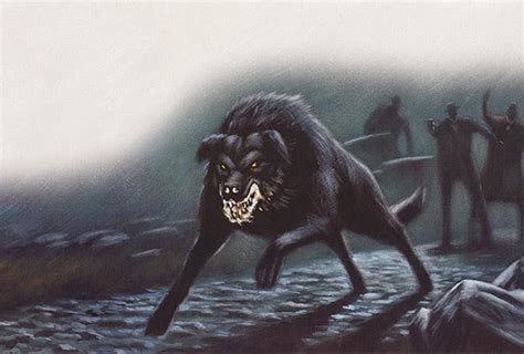 Black Dog Hellhound Myths