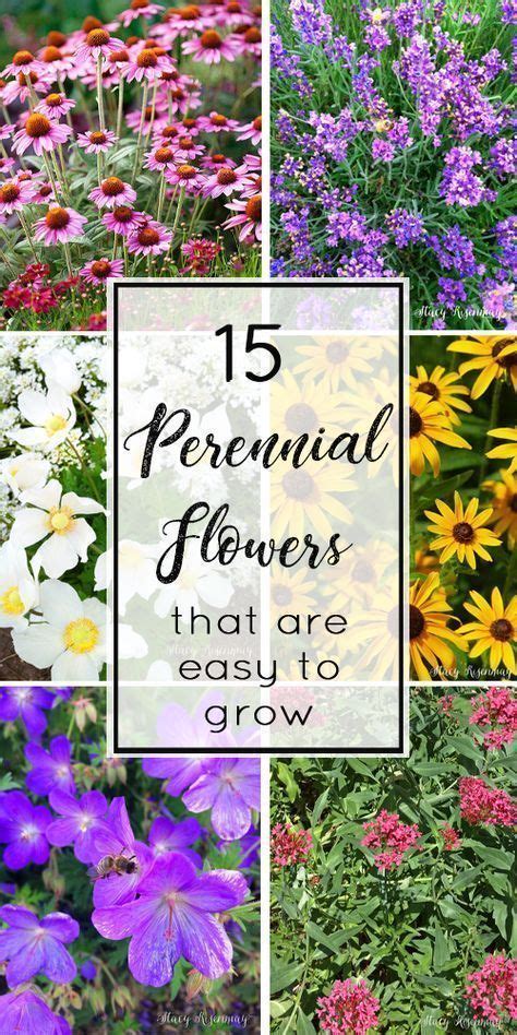 And gardeners in the pacific northwest region are blessed with a wide variety of herbaceous perennials to pick from. Trees #perennials best perennials, perinial flowers ...