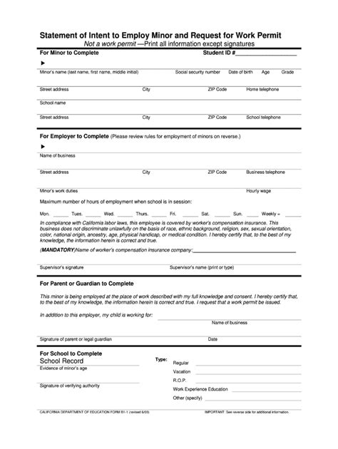 Work Permit Form Pdf Fill Out And Sign Online Dochub