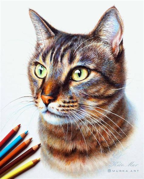 A Drawing Of A Cat With Colored Pencils Next To Its Face And Eyes