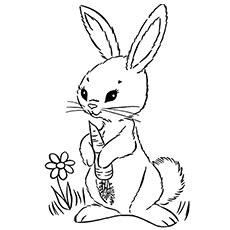 Thousands pictures for downloading and printing! Rabbit Coloring Pages - Free Printable Coloring Pages at ...