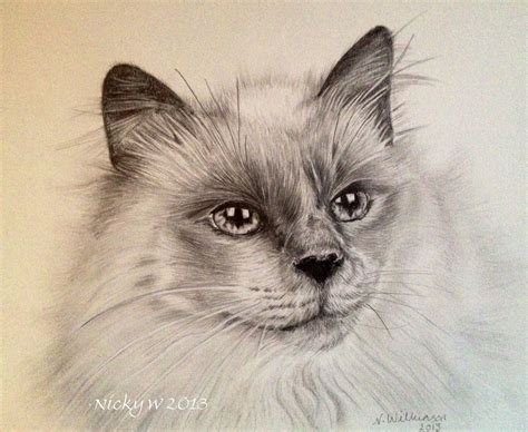Graphite Pencil Drawing Of A Siamese Cat Approx 8 Hours Animal