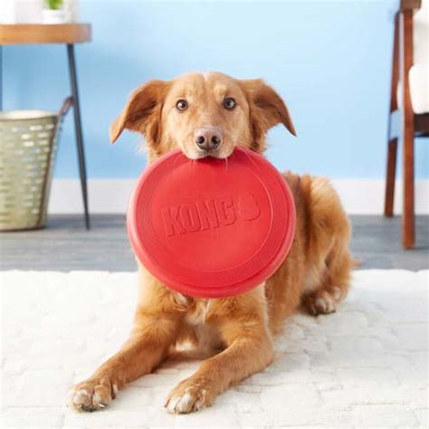 Top 30 Best Dog Frisbees Reviewed In 2022 Petstruggles