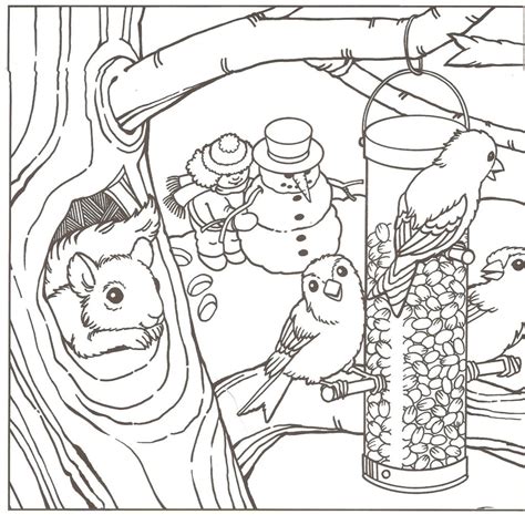 Winter Birds Coloring Pages At Free Printable