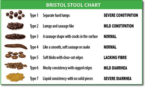 What Is Your Number On The Bristol Stool Chart Ribs