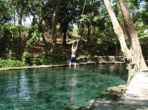 10 best backyard swing sets of july 2021. Love the idea of a rope swing into the pool | Swimming ...