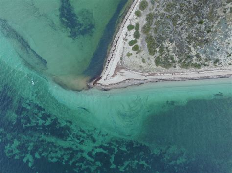 Free Images Sea Ocean Inlet Bay Aerial View Reef Drone View
