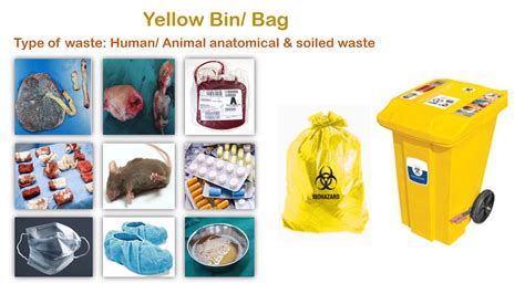 Aggregate Biomedical Waste Collection Bags Best Esthdonghoadian