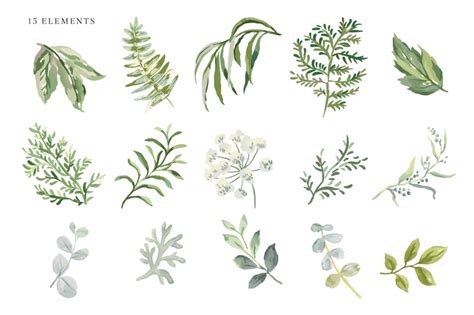 Forest Greenery Vector Collection By Ojardin Thehungryjpeg