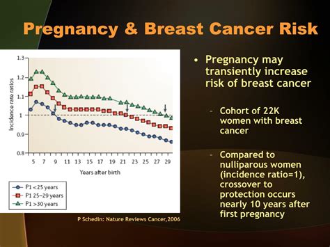ppt breast cancer and pregnancy powerpoint presentation free download id 858955