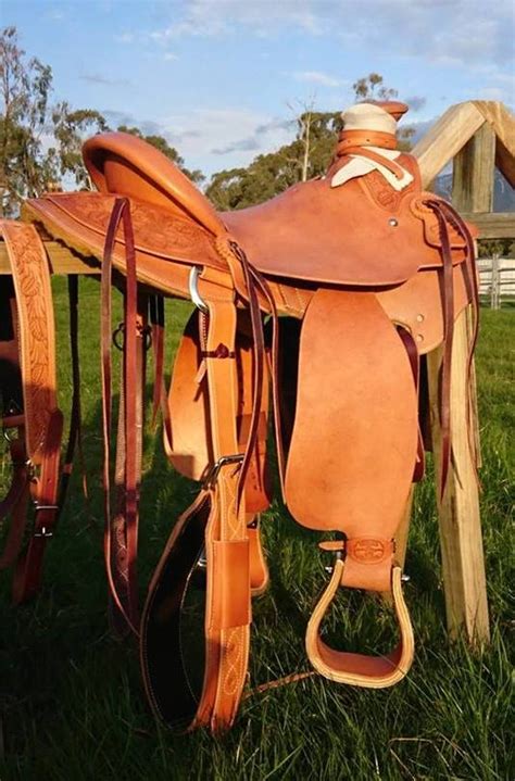 McCall Lady wade - Mountain Horse Trading