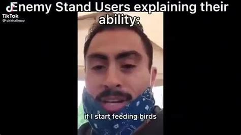 tiktok enemy stand users explaining their ability start feeduig oirds ifunny