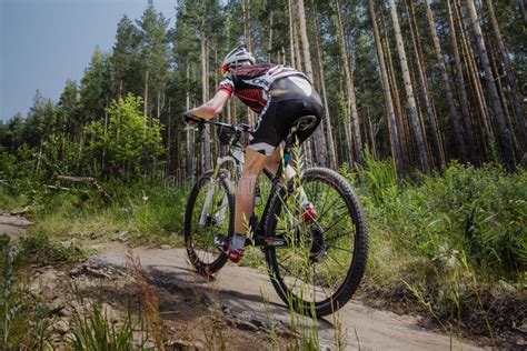 Male Cyclist Riding A Bike On Forest Trail Editorial Photography