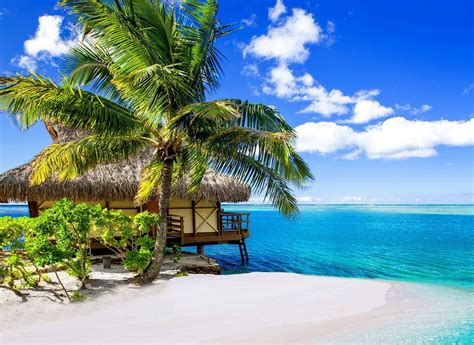 975825 Island Landscape Nature Beach Palm Trees Sea Rare