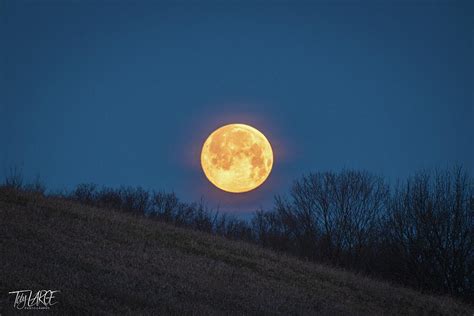 2022 04 16 Setting Full Pink Moon 1 Photograph By Toby Large Pixels