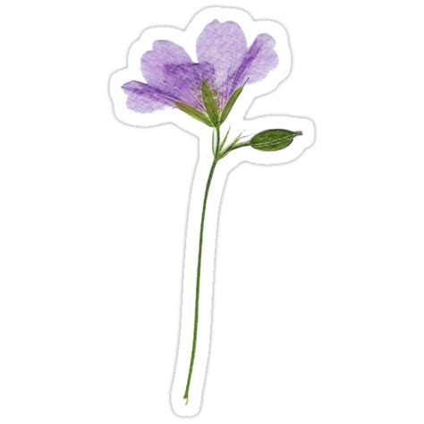 Lilac Flower Stickers By Emily Deakin Redbubble