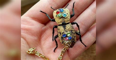Live Beetles Are Being Turned Into Jewelry In Mexico The Dodo
