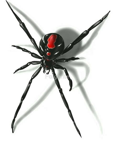 Black Widow In 2021 Spider Tattoo Spider Art Spider Drawing