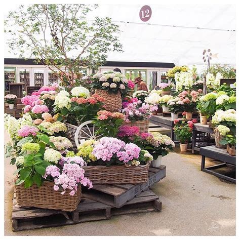 🌱🌵🌳🌲🌴🌿🍃 ☘🌸🌼 🌹💐🍄🌻 Flower Nursery Plant Nursery Garden Club Garden