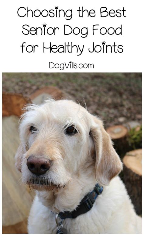 Best dog food for small senior dogs. Best Senior Dog Food for Healthy Joints