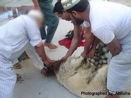 Namun demikian, jika daging itu dimasak. e-fatwa.gov.my: Boleh Agih Korban Kepada Non Muslim | al ...