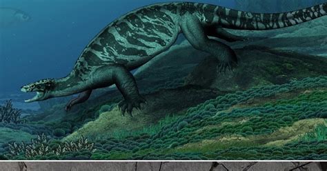 Species New To Science Paleontology 2018 Eorhynchochelys Sinensis