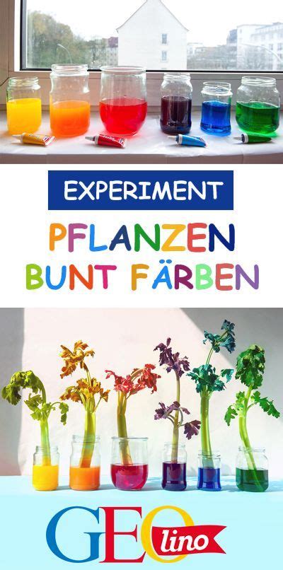 12 Experimente U3 Ideen Experiment Kinderexperimente Experimente Kinder