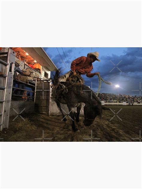 Bronc Rider Closeup Poster For Sale By Rodeo Photos Redbubble