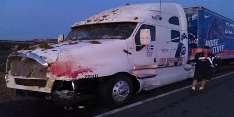 Boise State Football Equipment Truck Hit A Cow On The Way To Southern