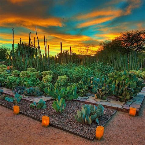 Desert Botanical Garden In Phoenix Their Photos Just Slay Me