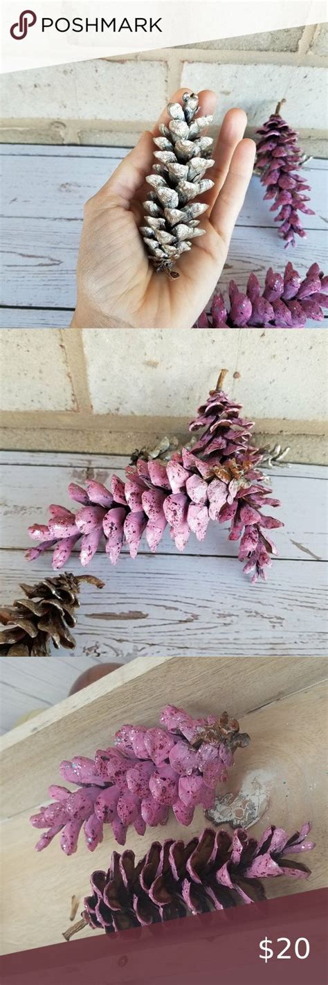 Natural Pink Pale Gold Dried Pine Cones White Pine Cone Eastern