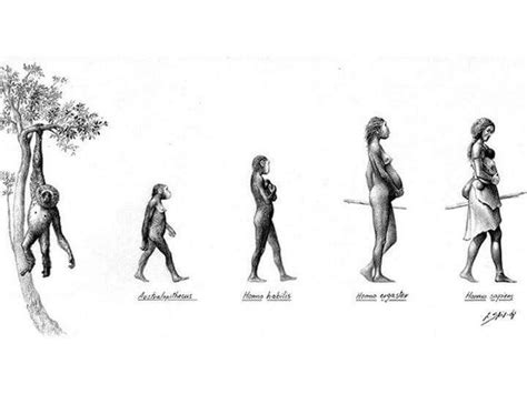 Evolution Of Woman