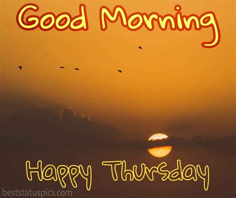 33 Good Morning Happy Thursday Images Wishes Quotes Best Status Pics
