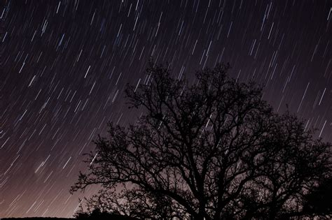 Free Picture Sky Tree Dark Night Silhouette Stars Landscape Nature