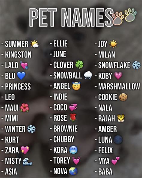 Top Dog Names And Most Popular Breeds Mad Paws In 2021 Cute Animal