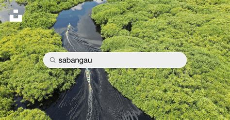 Sabangau Fotos Baixe Imagens Gratuitas Na Unsplash