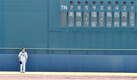 阪神横田、涙の引退試合でレーザービーム／写真特集 プロ野球ライブ速報まとめ 日刊スポーツ